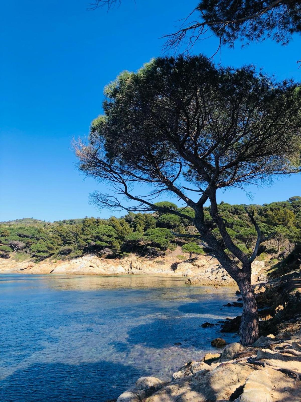 Studio Pool House Vue Mer Panoramique Amazing Sea View Wifi Linge Linen Inclut Aircondition La Croix-Valmer Exterior photo